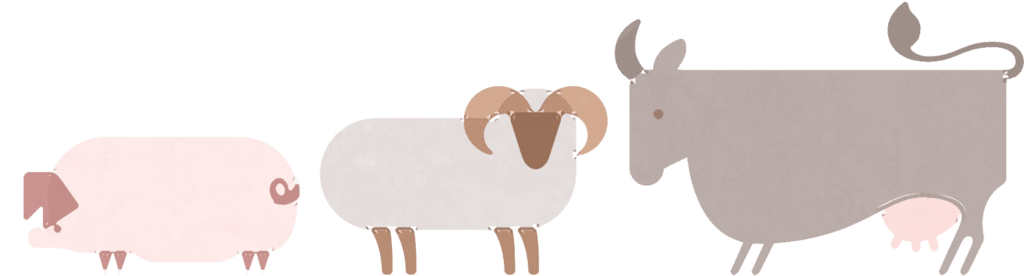 Illustrationen von Schwein, Schaf und Rind